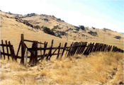 fencing_woodenfence