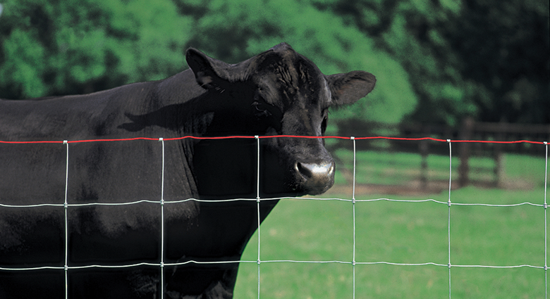Understanding Fence Knots | Monarch, Square Deal & Cross Lock Knots