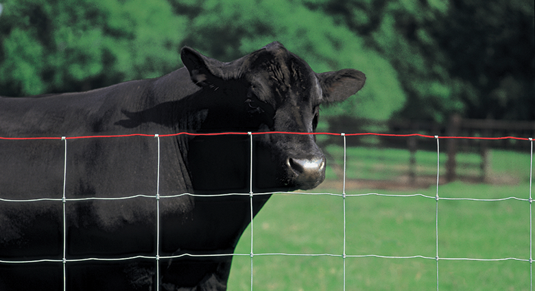 Red store brand fence