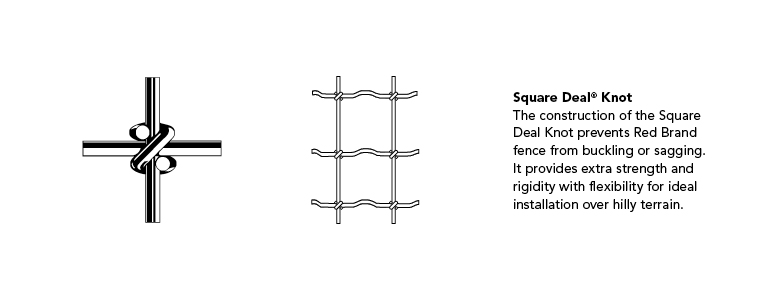 Square Deal Knot illustrations