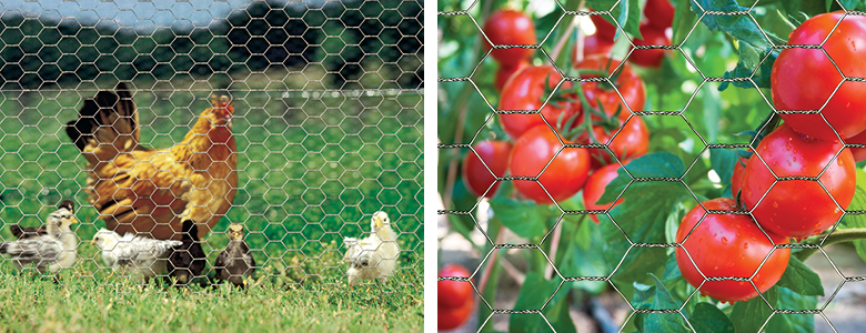 Poultry Netting – Not Just For Chickens