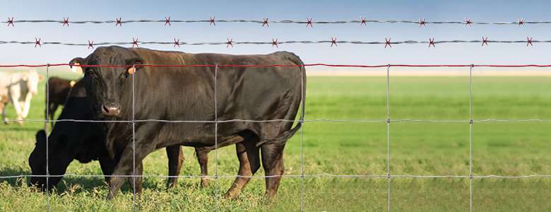 Best barbed wire for cattle new arrivals