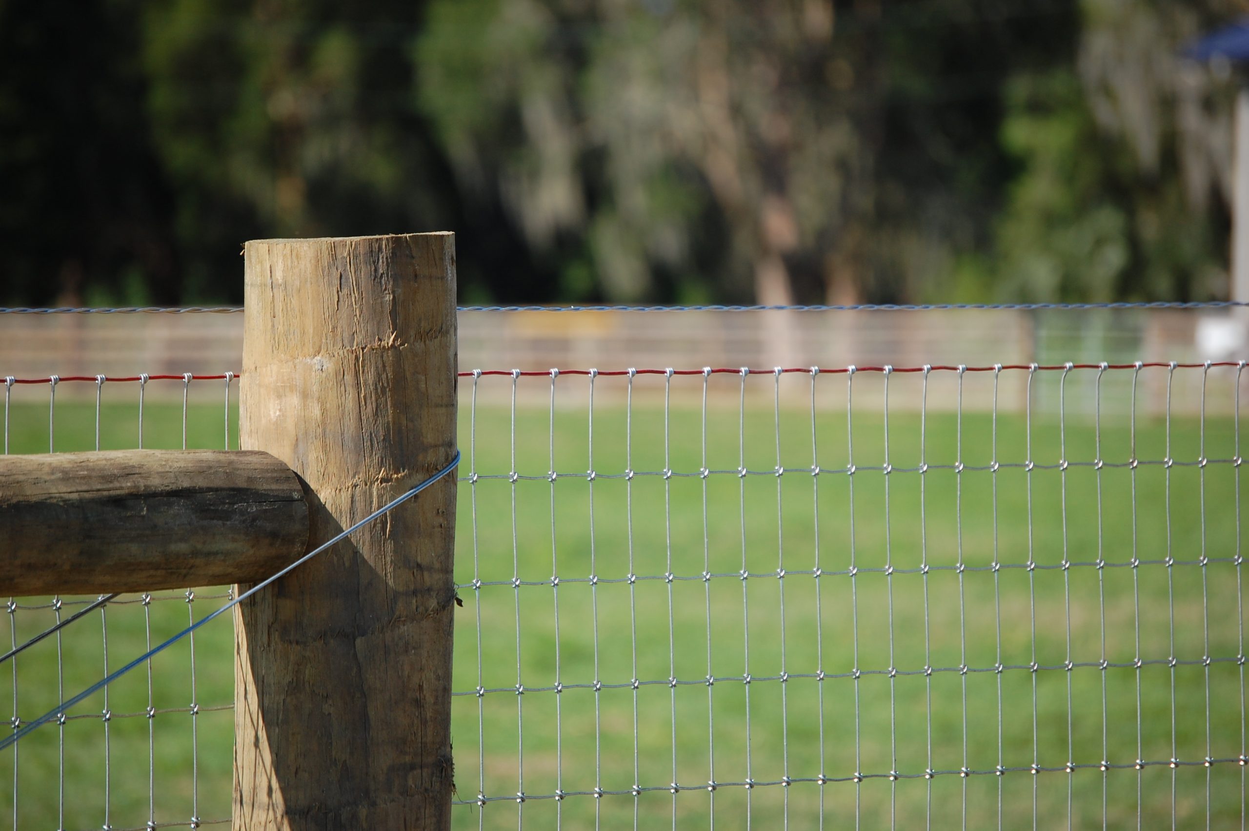 How to build an electric fence for farm animals
